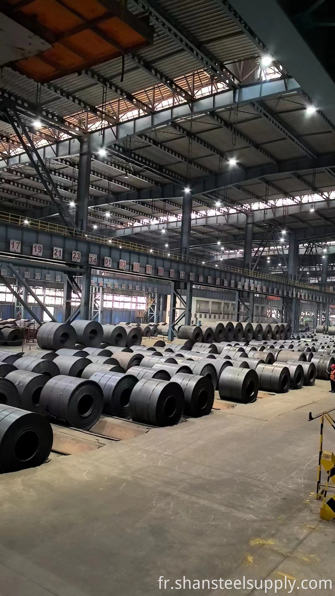 Carbon Steel Coil